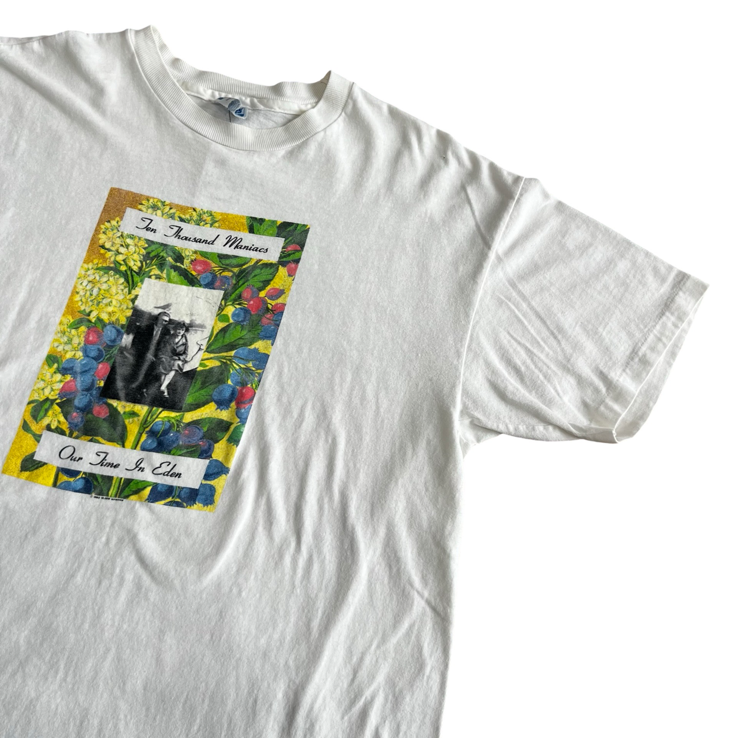 Vintage Ten Thousand Maniacs "Our Time in Eden" T-Shirt SZ L