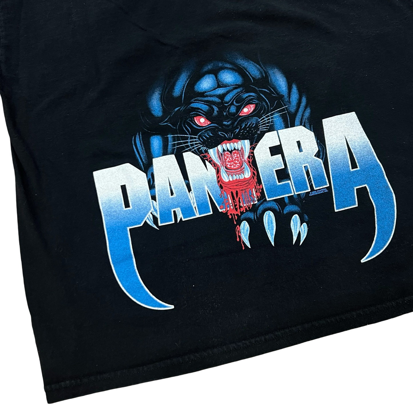 Vintage Pantera Panther T-Shirt 2002 SZ XL