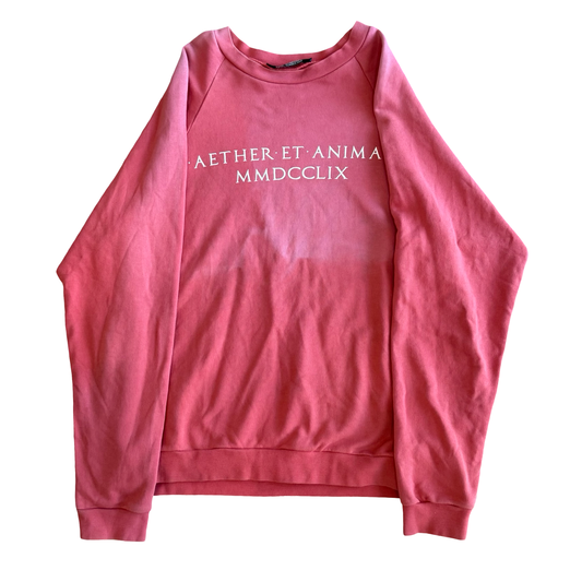 Raf Simons “Air and Soul” crewneck SS06 Sz 46