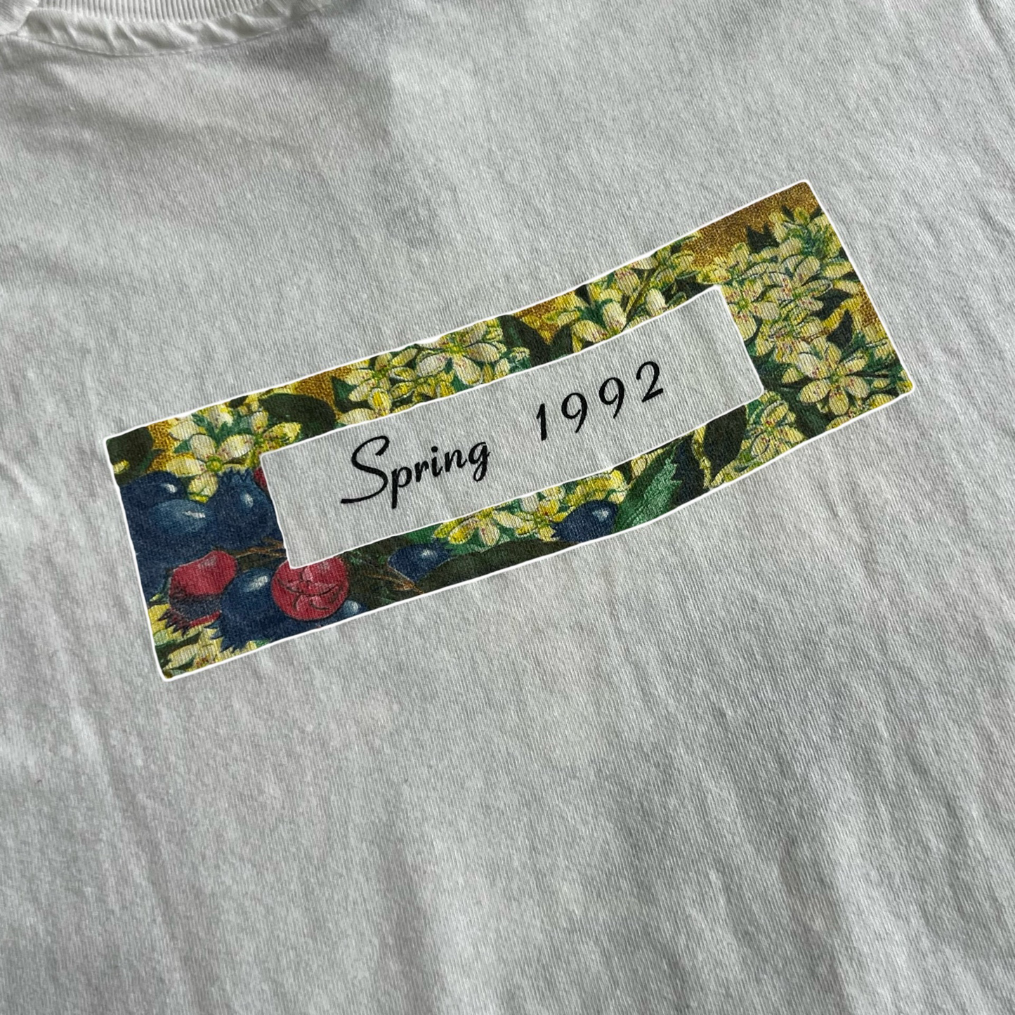 Vintage Ten Thousand Maniacs "Our Time in Eden" T-Shirt SZ L