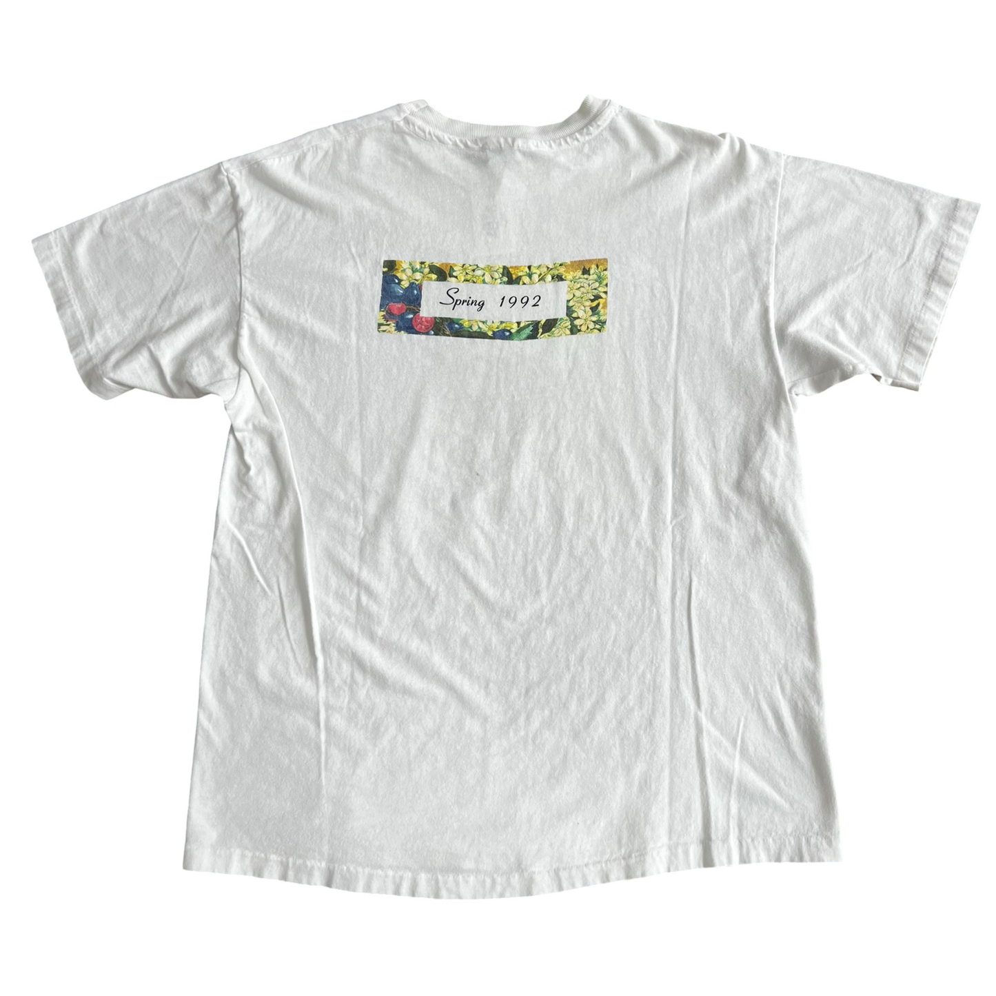 Vintage Ten Thousand Maniacs "Our Time in Eden" T-Shirt SZ L