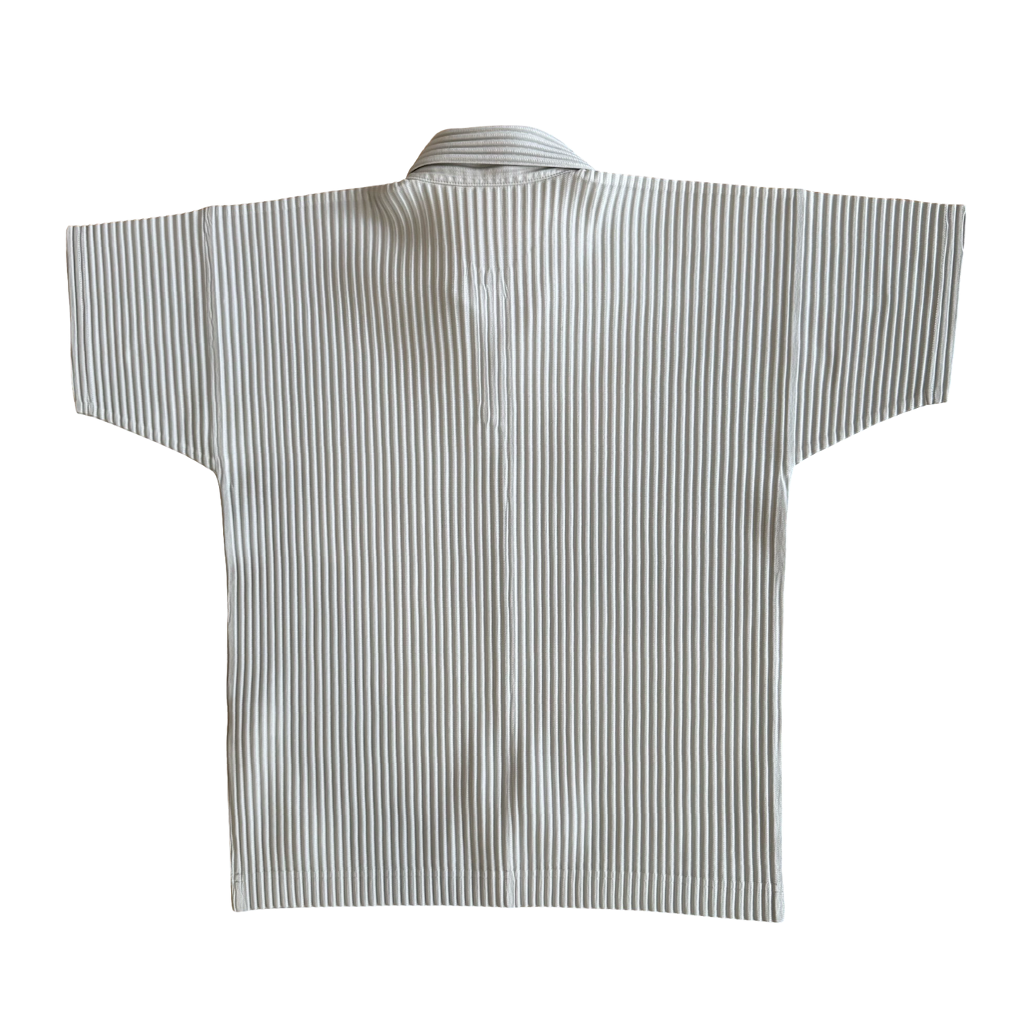 Issey Miyake Homme Plisse Collared Shirt SZ 2